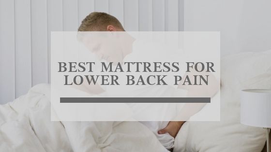 5 Best Mattress For Back Pain 5 Best Mattress For Back Pain