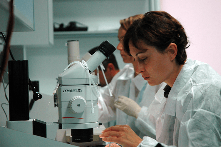 Basic 5 Steps for Conducting Scientific Research Basic 5 Steps for Conducting Scientific Research