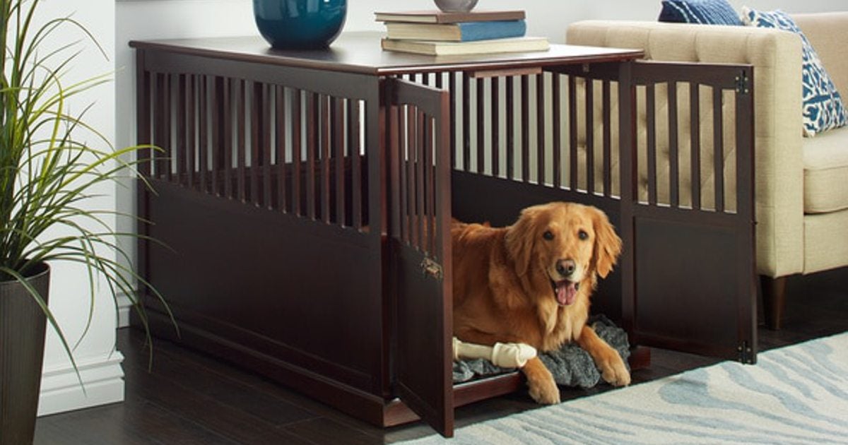 Top 5 Tips When Choosing the Right Dog Boarding Place! Top 5 Tips When Choosing the Right Dog Boarding Place!